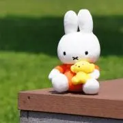 みーちぃの画像