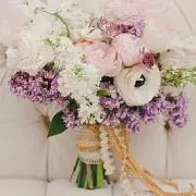 ポテコ☆の画像