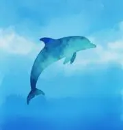 アクアの画像