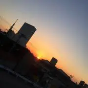 ごーだの画像