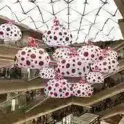 シナモンの画像
