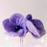 ゆいの画像