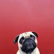 kiii.yの画像