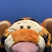 yuuuの画像