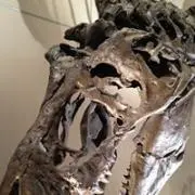 TTの画像