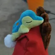 きずどらの画像