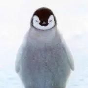 光一