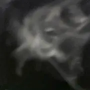 な