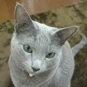 Yukariの画像