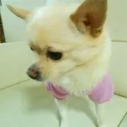 mint♡プロフ必読