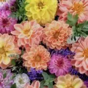 ✨フォローまとめ割❤️✨epicday