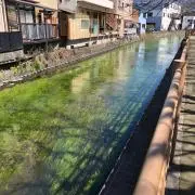はなさかの画像