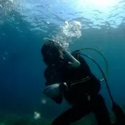 Diveの画像