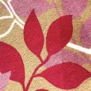ぴよこの画像