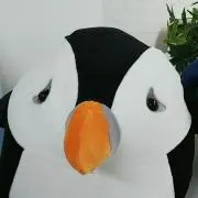 *shi*の画像