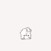 ぷりんちゃんの画像
