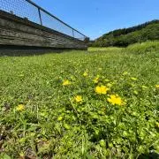 na☆na☆の画像