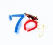 70gの画像