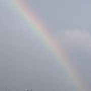 マイケルの画像