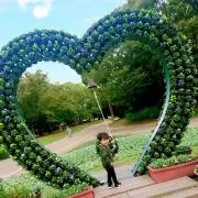 ネモ。　　土日祝は発送不可ですの画像