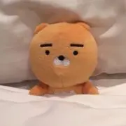 라이の画像