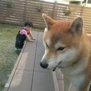 Q太郎