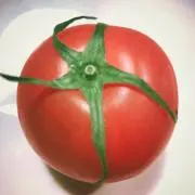 とまとまちゃんの画像