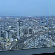 Dちゃん