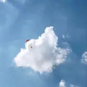 ききいの画像