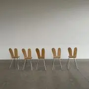Kikiの画像