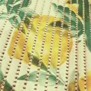 Paoの画像