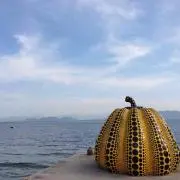 kozikozi