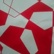 レイ