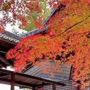 Obitoの画像