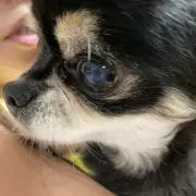 なぁーさんの画像