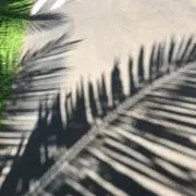sunの画像