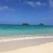 y:)の画像