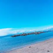 ふじ
