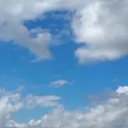 Kamyの画像