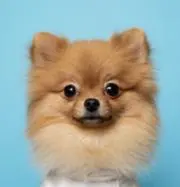 ムー