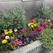 masakoの画像