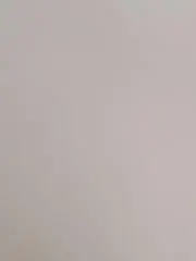 シロの画像