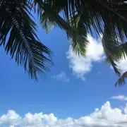 marakudaの画像