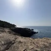K.の画像
