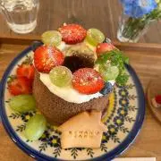 わんこの画像