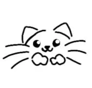 猫のひげ(=^・・^=)の画像