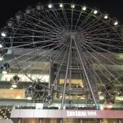 エルの画像