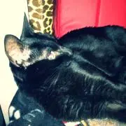 Luiza*