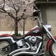 FBRJ   プロフ見てくださいの画像