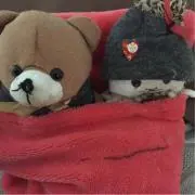 rirocyanの画像